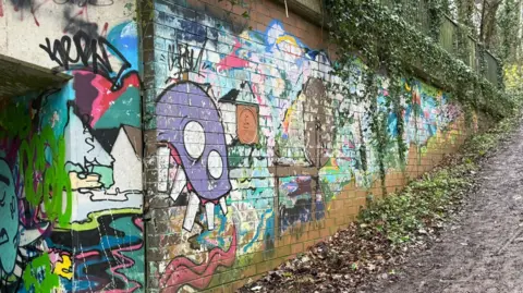 A wall with graffiti running along it, in front of a footpath. There is a tunnel on th left of the image.