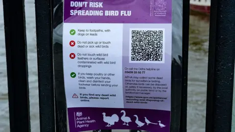 A stock photo of a poster educating people on how to stop the spread of bird flu.