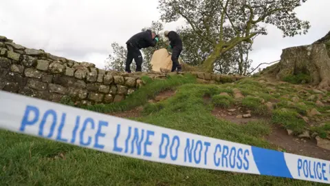 PA Blue and white police tape in the foreground with text that reads 'police line do not cross.' In the background two men in black are taking photographs of a tree which has been cut down, and is lying on top of a grey stone wall. 