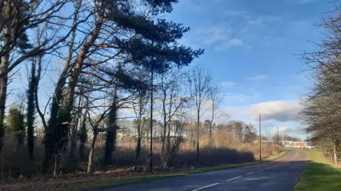 LDRS The site of the proposed development. The plot is near a two-lane road with low-rise housing in the distance. To the right of the road is a neatly cut verge with mature trees. To the left - where the new homes would be - is an area of overgrown land with many tall, thin trees rising above high scrub and grass.