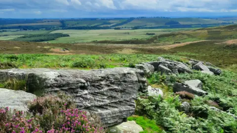 Rolling hills with just the odd farm visible and blocks of forest taken from the top of a hill with large stones in the foreground.