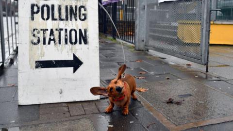 Dog outside polling station