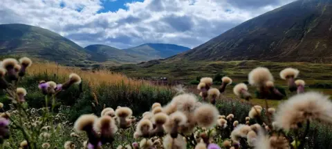 Rob Young A view of hills and valleys with a blue sky. Heather and thistles are in the foreground