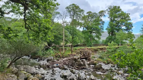 A section of the Upper Derwent River. Many rocks can be seen along the riverbed as the water level is low. It is surrounded by fields and trees. Fells can be seen in the background.