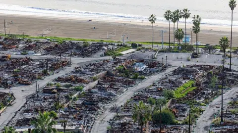 Lines of destroyed homes can be seen with the ocean and palm trees sitting in the background 
