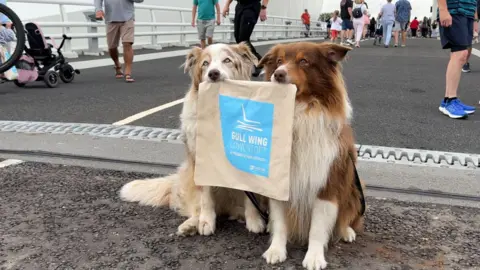 Matthew Webb/BBC Two Collie-style dogs holding up a Gull Wing bridge tote bags with their mouths