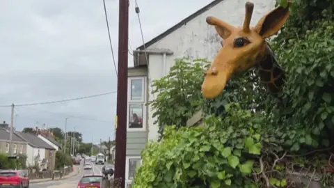 A picture of Julian before he was broken - His head sticks out over a hedge next to a busy road