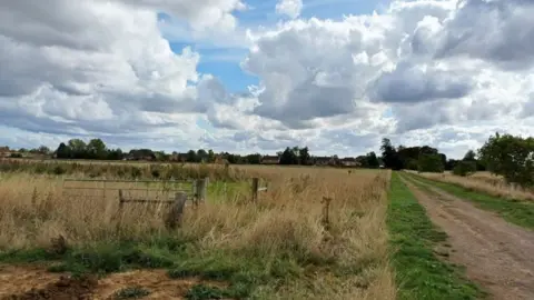 View of the proposed quarry site it is an open field surrounded by trees with a dirt track cutting through it 