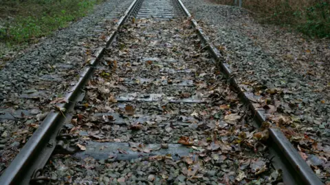 Getty Images Leaves on train track