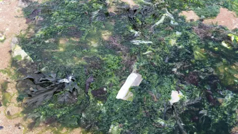 Environment Agency Rubbish floating on a beach.