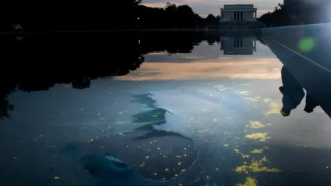 Chipped paint and algae are visible in the Lincoln Memorial Reflecting Pool.