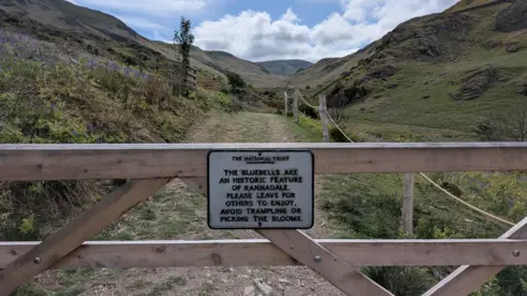 A white National Trust sign on a wooden gate at Rannerdale reads: The bluebells are an historic feature of Rannerdale. Please leave for others to enjoy. Avoid trampling or picking the blooms.