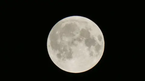 Weather Watchers/Julie's Garden Supermoon as seen from Birmingham