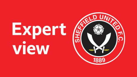 Sheffield United 'Expert view' image