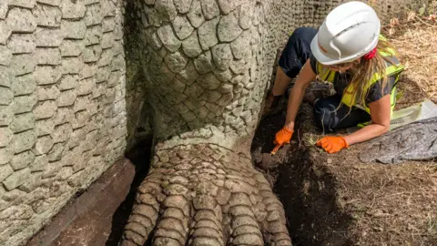 Historic England Archive A person works on an Iguanodon foot that is being revealed with original paint pigment still intact.