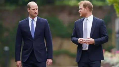 The Prince of Wales looks towards the Duke of Sussex. Both are wearing blue suits and ties.