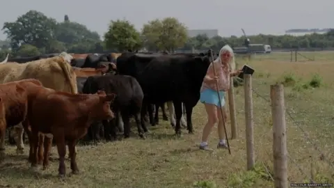 Malcolm Bassett-Smith/TFA Mavis Drayton, wearing a pink shirt and bright blue shors and holding a big stick/staff, controlling cattle on the farm in Reading. 