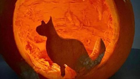 A pumpkin with a cat design carved into it