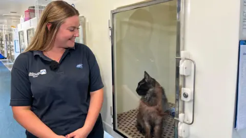 A woman with blond hair wearing a black polo shirt standing in front of a bank of pods with clear doors. She is looking at a black cat within one of the pods and smiling.