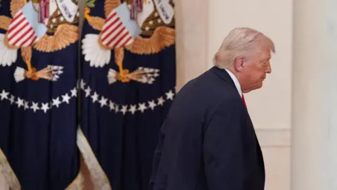 Image shows Donald Trump