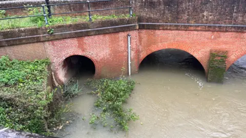 BBC/Adrian Harms River Mole at Leatherhead