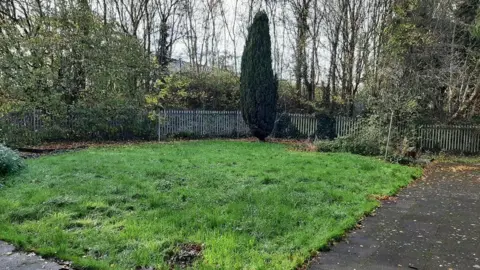 Clean-up at Burns Avenue, Tipton. It is an overgrown green space with silver fencing around the edge.