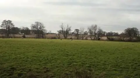 LDRS Farmland - green grass and a line of trees in the distance with a field of hay