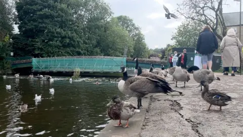 Weir Bridge on 24 September