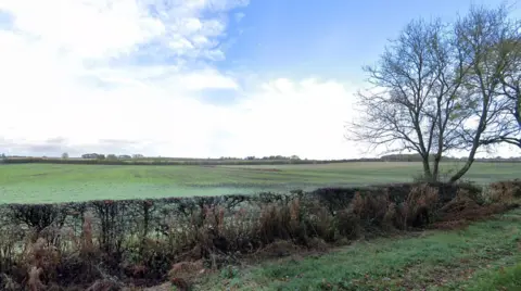 An area of land next to Sotby Woods showing a green field, a bush and a tree. 