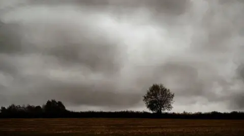 Krazy Keith/BBC Weather Watchers A picture depicting Kenton, near Exeter in Devon. The sky is grey and full of grey clouds. The ground is dark and in the background is a tree on it's own and some bushes. 