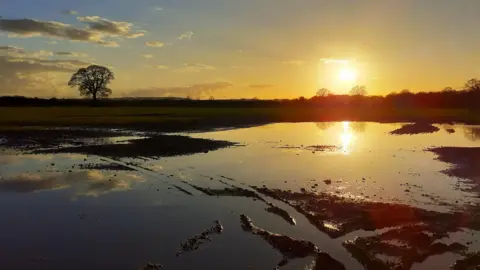 BBC Weather Watchers / Swiftland Cream Puddles reflecting sunlight at sunset