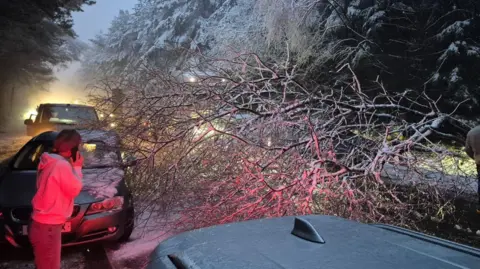 A tree covered in snow seen blocking a road in Devon, a person next to it is looking concerned and on the phone