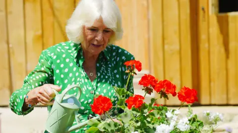 PA Queen Camilla wearing a green and white patterned dress, watering a bunch of red geraniums with a green watering can.