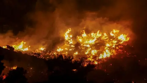Flames rise as a wildfire burns near Ierapetra, on the island of Crete, Greece, July 2, 2025.