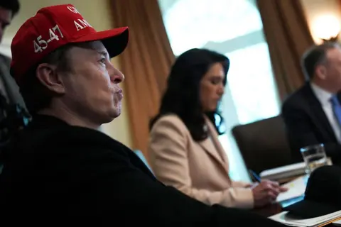 Elon Musk in the cabinet room of the White House