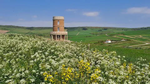 EvaDorset A Tuscan-style tower of brown brick surrounded by green Dorset fields. The foreground is a bed of tall wildflowers.
