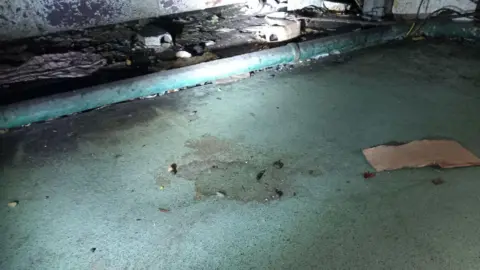 Trafford Council An image of a dirty turquoise-coloured area of flooring scattered with small brown lumps of rat droppings