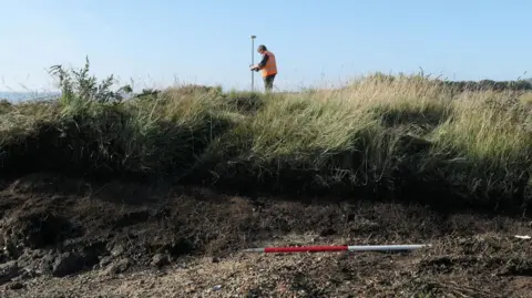 Colchester Archaeological Trust A person holding a large pole surveys the grassy seafront land.