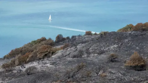 National Trust Images/John Miller Blackened heathland on a cliff edge, overlooking a yacht sailing on the Solent