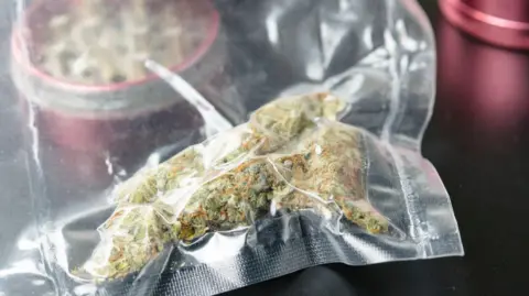 Close up of medical marijuana buds in vacuum seal bags and grinder. Cannabis is a concept of herbal or alternative medicine. 