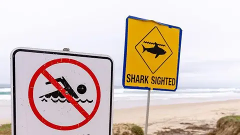 Getty Images Signs warning swimmers and saying "swimming prohibited beach closed" and "shark sighted" on a beach in the Sydney area, Australia. 