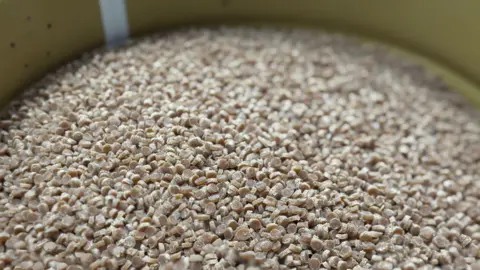 Small light brown pellets in a bucket