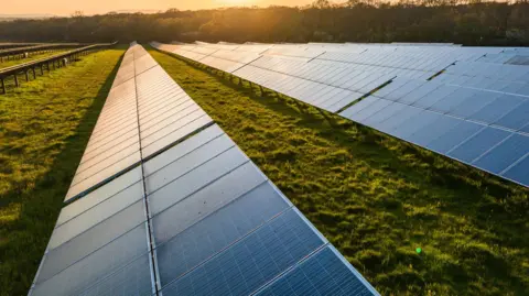 Rows of solar panels stretch across a grassy field, angled toward the low sun.
