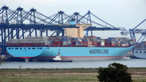 Ashley Pickering A Maersk Line ship with a blue hull loaded with containers and docked at the Port of Felixstowe. A row of blue cranes is on the quayside. In the foreground is the opposite bank of the estuary at Shotley Gate.