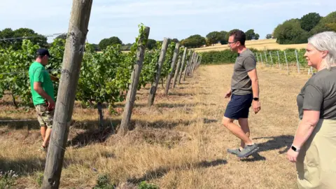 Three people, John in the middle, walk into the vineyard with vines all around.