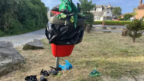 Image shows a red dog waste bin, on a post on a green area next to a footpath. It is overflowing with full bags on top and on the ground. 