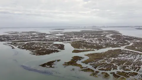 BBC Aerial shot of the marshes in the Medway Estuary