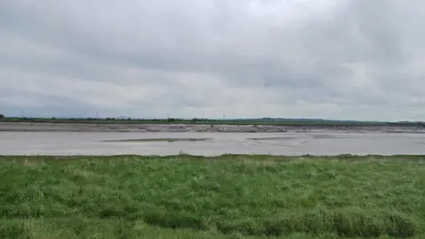 Daniel Mumby Coastal wetlands in Combwich showing the river with the banks on either side visible