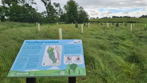 A visitor information sign in the foreground explains the thinking behind the scheme. It shows a map of the river area alongside several lines of text. Across the field, dozens of plastic tubes have been placed in the ground.
