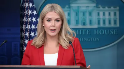 White House Press Secretary Karoline Leavitt addressses reporters at a media briefing.